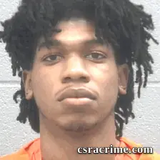 Trenton Phelps booking photo
