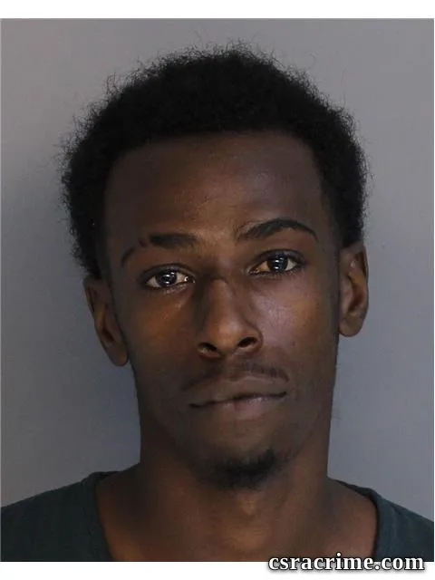 Trequan Johnson booking photo
