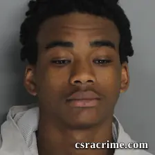 Trequan Mealing booking photo