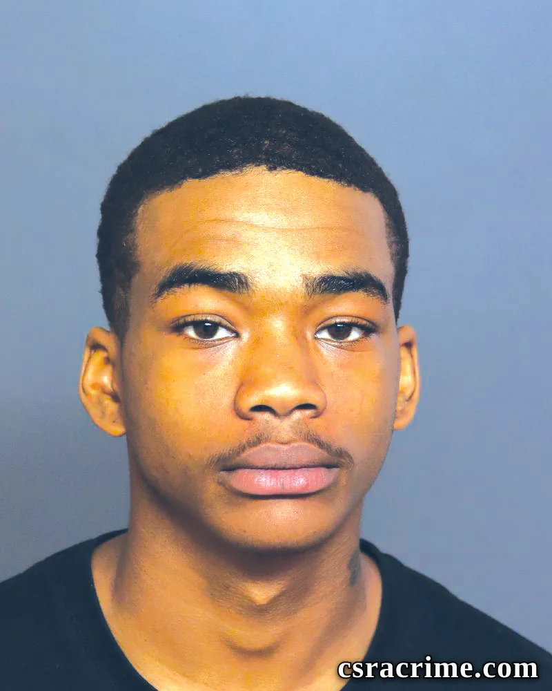Trequan Mealing booking photo