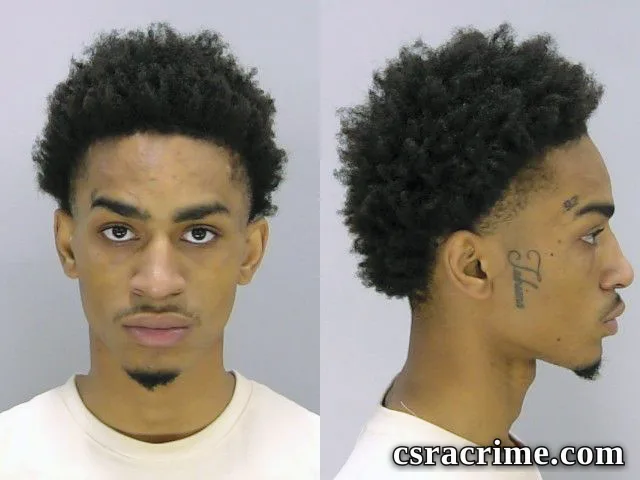 Treshaun Butler booking photo