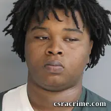 Trevis Johnson JR booking photo