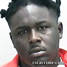 Trexie Henry booking photo