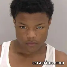 Tristen Butler booking photo