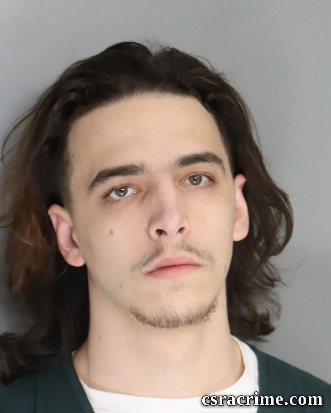 Tristen Mccarty booking photo