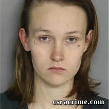 Tristian Waddell booking photo
