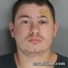 Tristine Parks booking photo