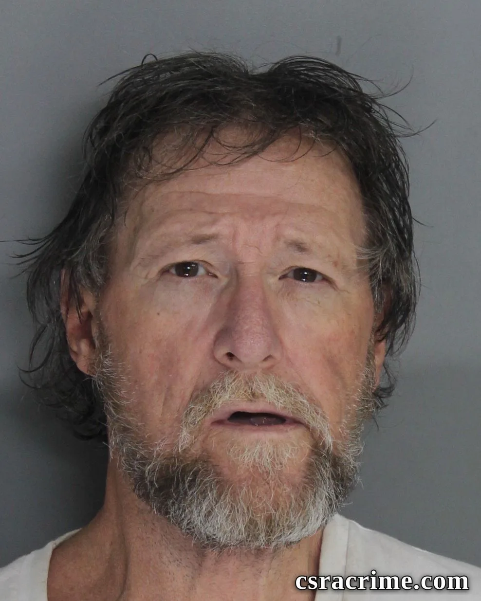 Troy Gregory booking photo