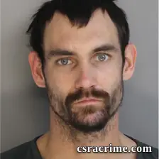 Troy Williams booking photo