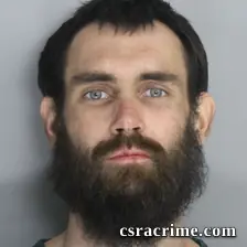 Troy Williams JR booking photo