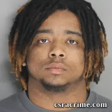 Truston Ingram JR booking photo
