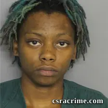 Ty Asia Williams booking photo