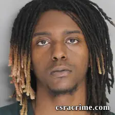 Tykel Williamson booking photo
