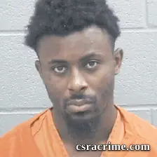 Tykelin Green booking photo