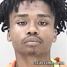 Tylan Lee booking photo