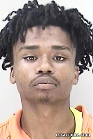 Tylan Lee booking photo