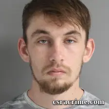 Tyler Borgert booking photo