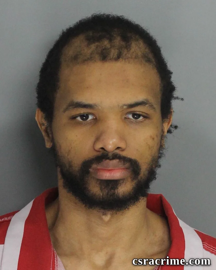Tyler Bostick booking photo