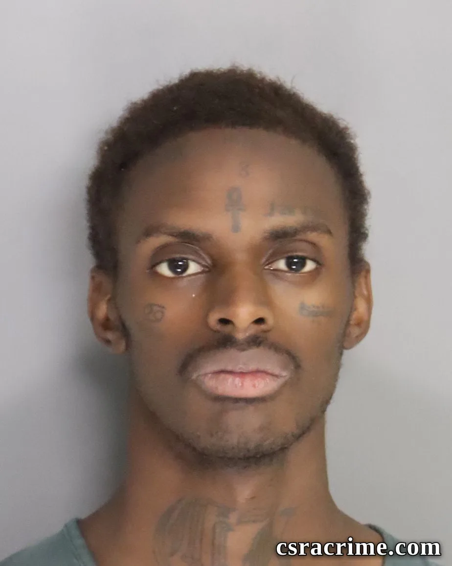 Tyler Cherry Mitchell booking photo