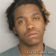 Tyler Curry booking photo