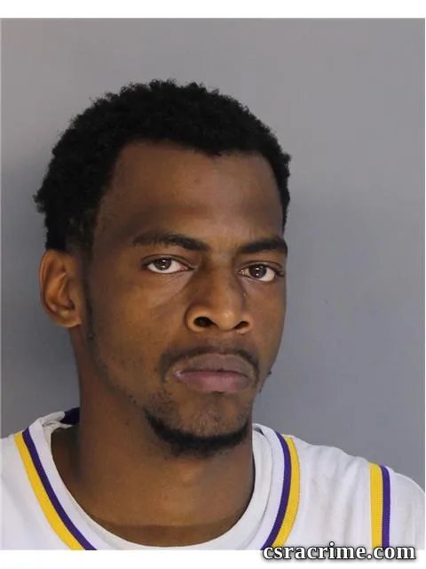 Tyler Efremoff booking photo