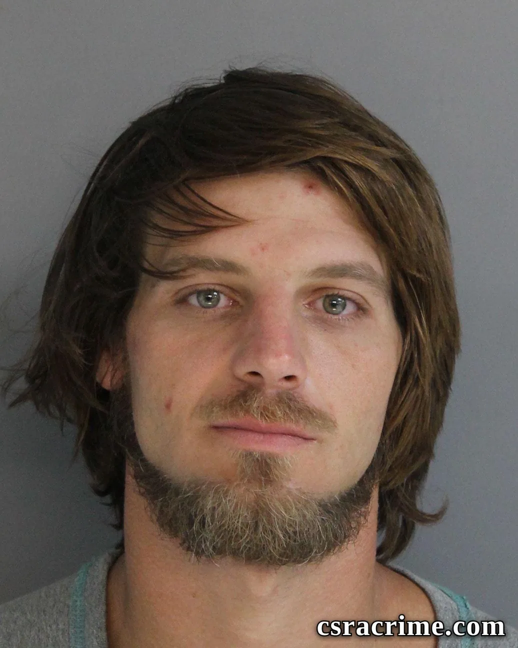 Tyler Ford booking photo