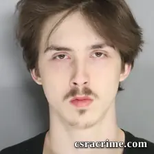 Tyler Lariscey booking photo