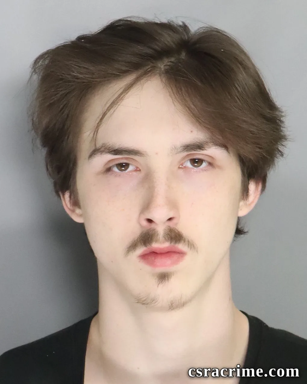 Tyler Lariscey booking photo