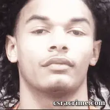 Tyler Reese booking photo