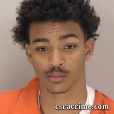 Tyler Smith booking photo