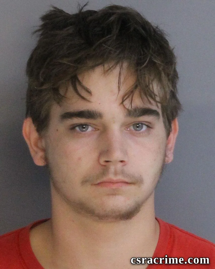 Tyler Tinsley booking photo