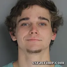 Tyler Tinsley booking photo