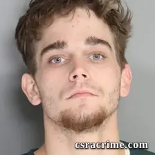 Tyler Tinsley booking photo