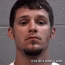 Tyler Wilson booking photo