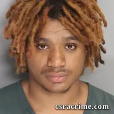 Tyler Woods booking photo