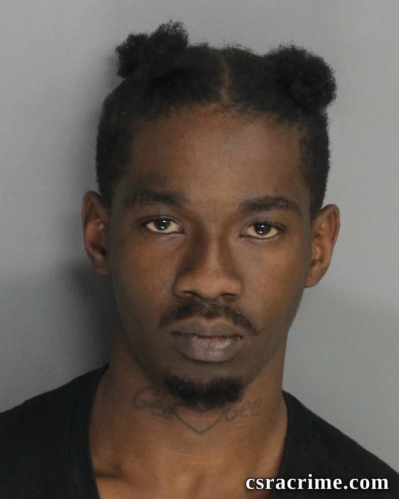 Tyquan Johnson booking photo