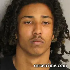 Tyquan Williams booking photo
