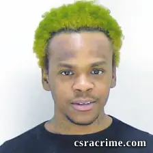 Tyquavius Wells booking photo