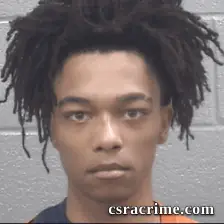 Tyreese Henschke booking photo