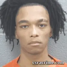 Tyreese Henschke booking photo