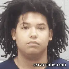 Tyrese Richardson booking photo