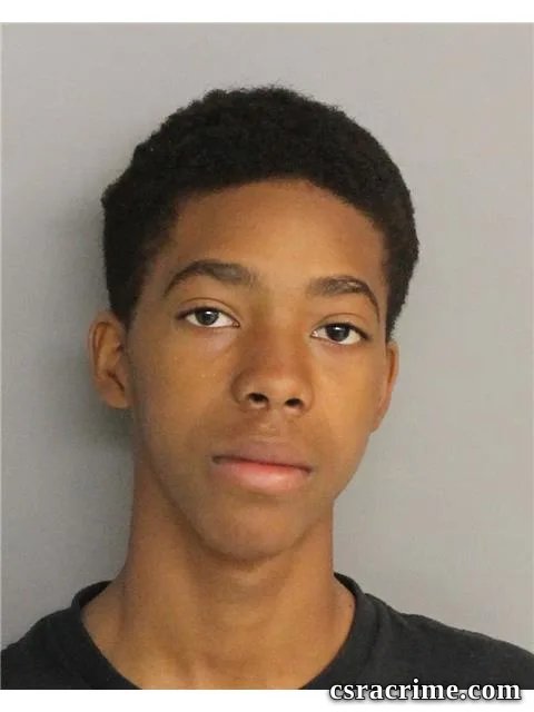 Tyrese Rouse booking photo