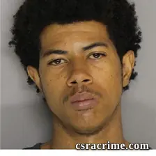 Tyreze Johnson booking photo