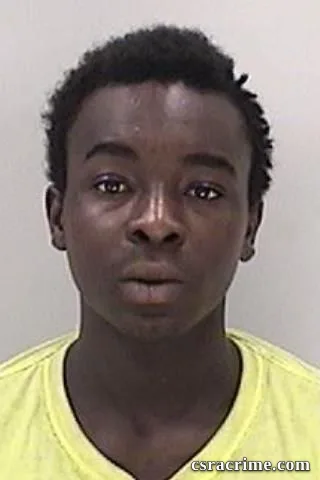 Vaichon Wallace booking photo