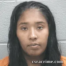 Vanessa Aguirre booking photo