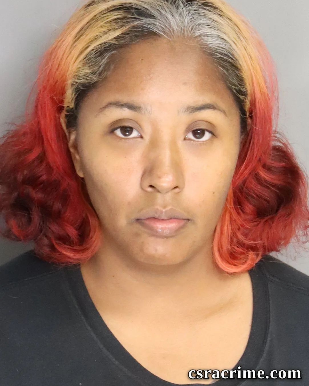 Vanessa Aguirre booking photo