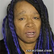 Vanessa Green booking photo