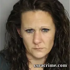 Vanessa Luke booking photo