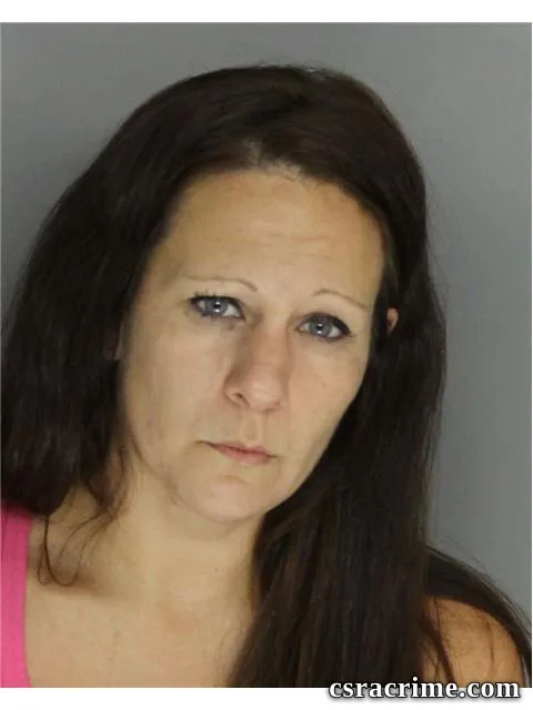 Vanessa Luke booking photo