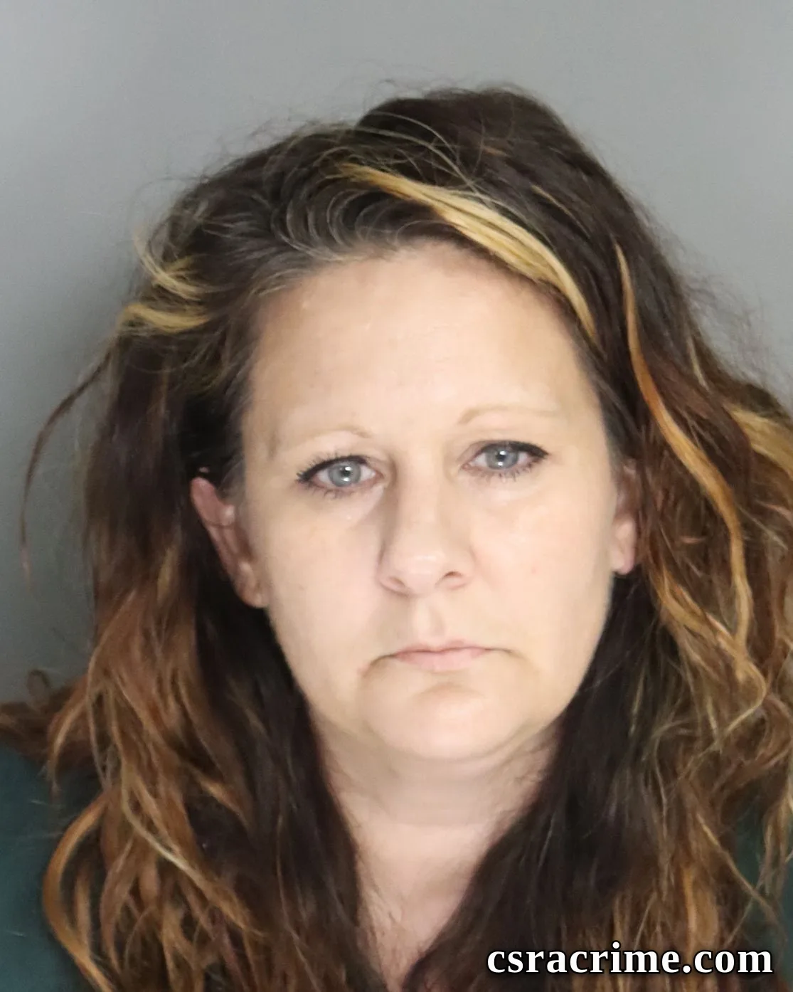 Vanessa Luke booking photo